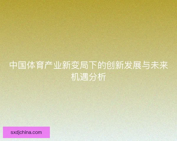 中国体育产业新变局下的创新发展与未来机遇分析